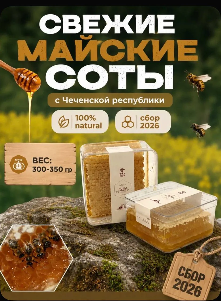Соты в контейнере — Соты